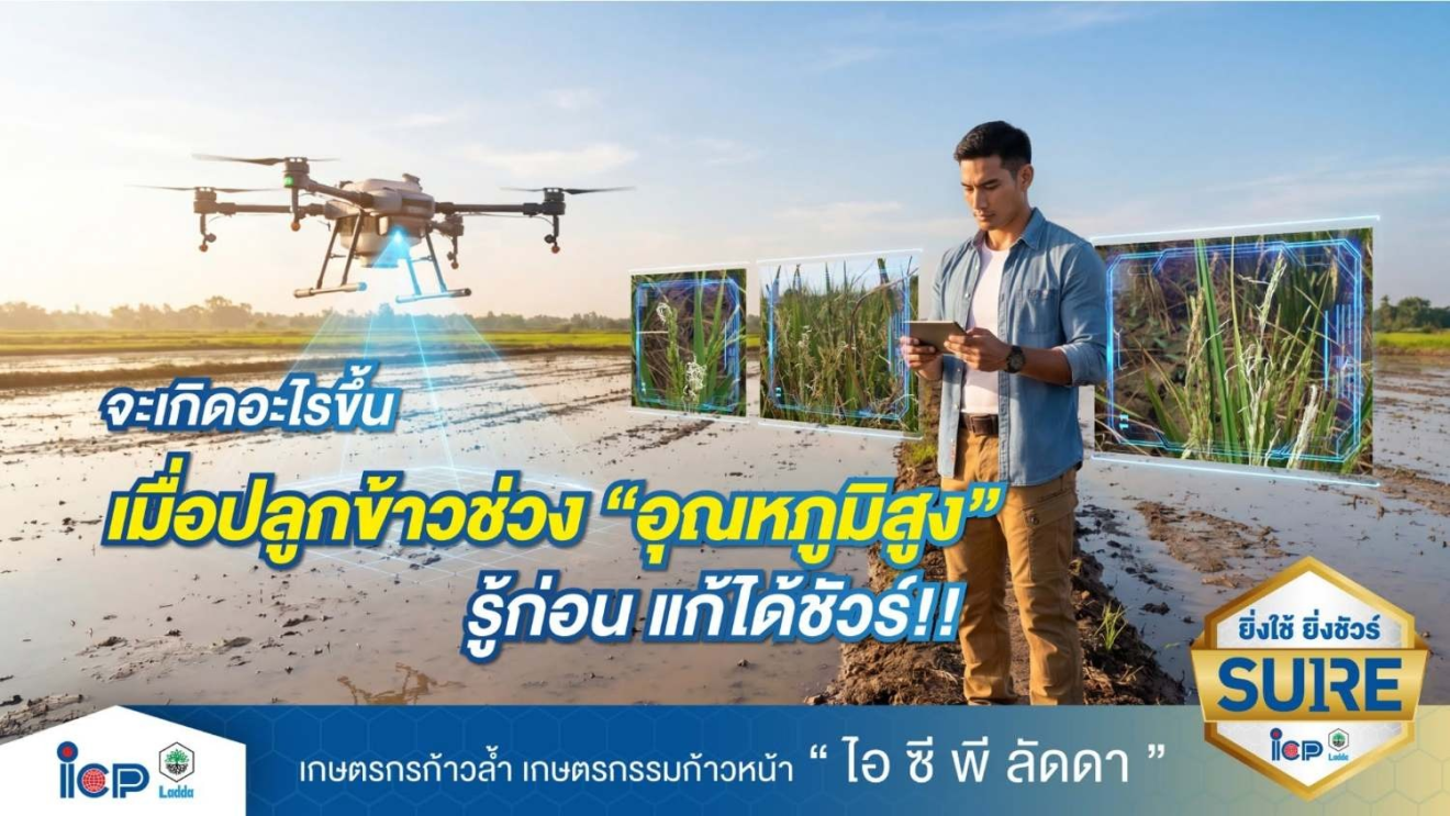จะเกิดอะไรขึ้นเมื่อปลูกข้าวช่วง "อุณหภูมิสูง" รู้ก่อนแก้ได้ชัวร์