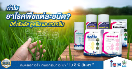 ทำไม ยาโรคพืชแต่ละชนิด? มีทั้งสัมผัส ดูดซึม และแทรกซึม