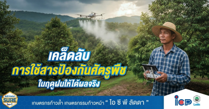 ปัจจัยที่เกี่ยวข้องกับการใช้สารป้องกันกำจัดศัตรูพืชในฤดูฝน