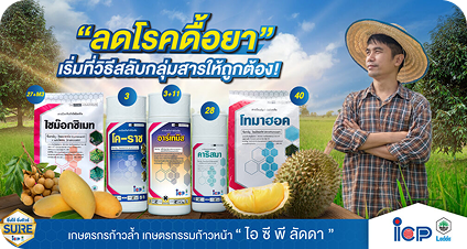 blog-test-4
