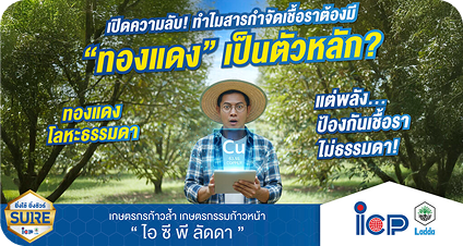 ไขความลับที่หลายคนไม่เคยรู้! ทำไมสารกำจัดเชื้อราต้องมี “ทองแดง (Cu)” โลหะป็นสารป้องกันกำจัดเชื้อรา
