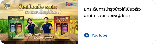 VDO 7