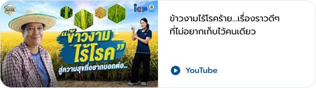 VDO 6