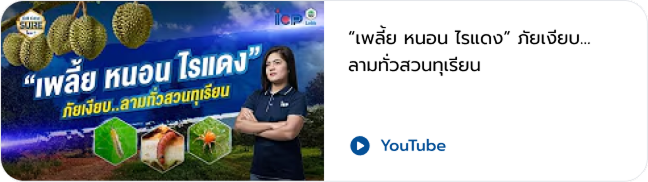 VDO 4