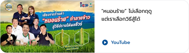 VDO 11