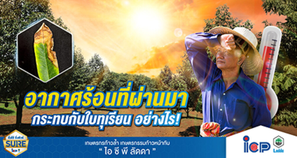 ทดสอบ  blog  uat